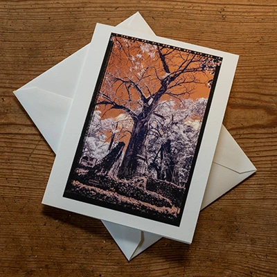 Home of the Vietnam Dead