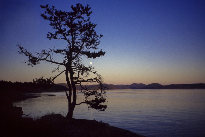 Octopus Islands