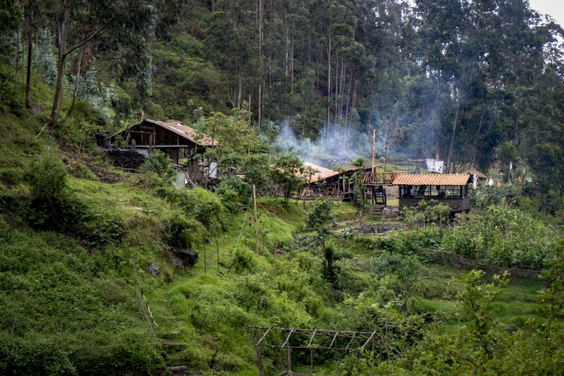 Village, Bosque Protector Cascada de Peguche Ecuado