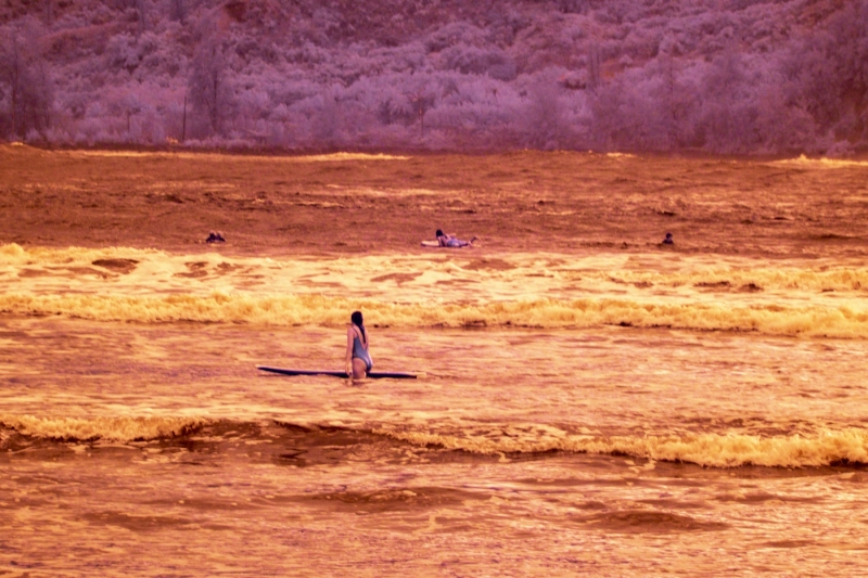 Sunset Surfers