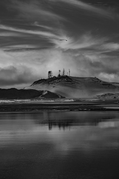 Pacific City Dune