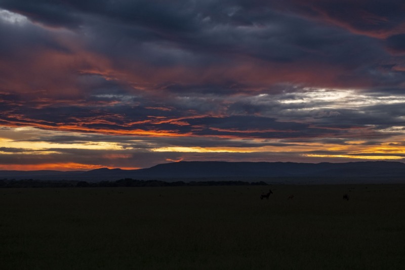 Sunrise Masai Mara